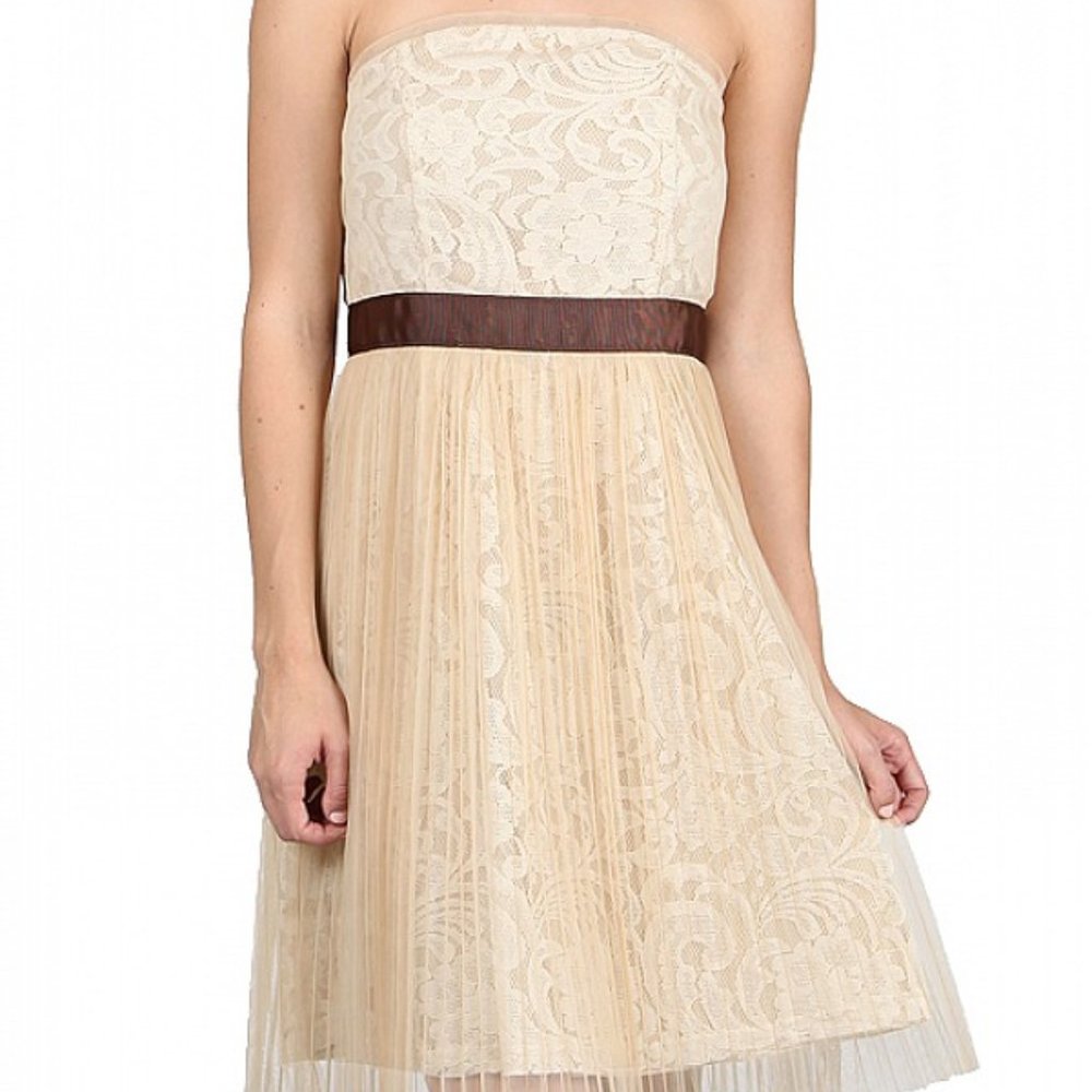 NWT RYU Strapless Lace & Tulle Cocktail Dress
